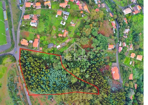 Terreno de 7330m2 en venta y construcción junto a Levada da Serra, Camacha, Santa Cruz, Isla de Made