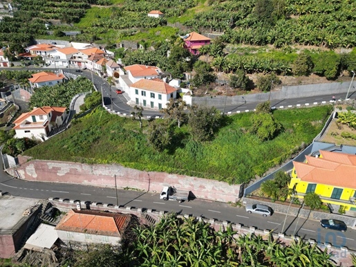 Terreno em Ribeira Brava de 1231,00 m²