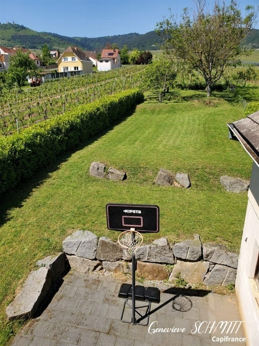 Eguisheim Exclusive - Very Beautiful Contemporary Property of 223 m² - Land of 1085 m²