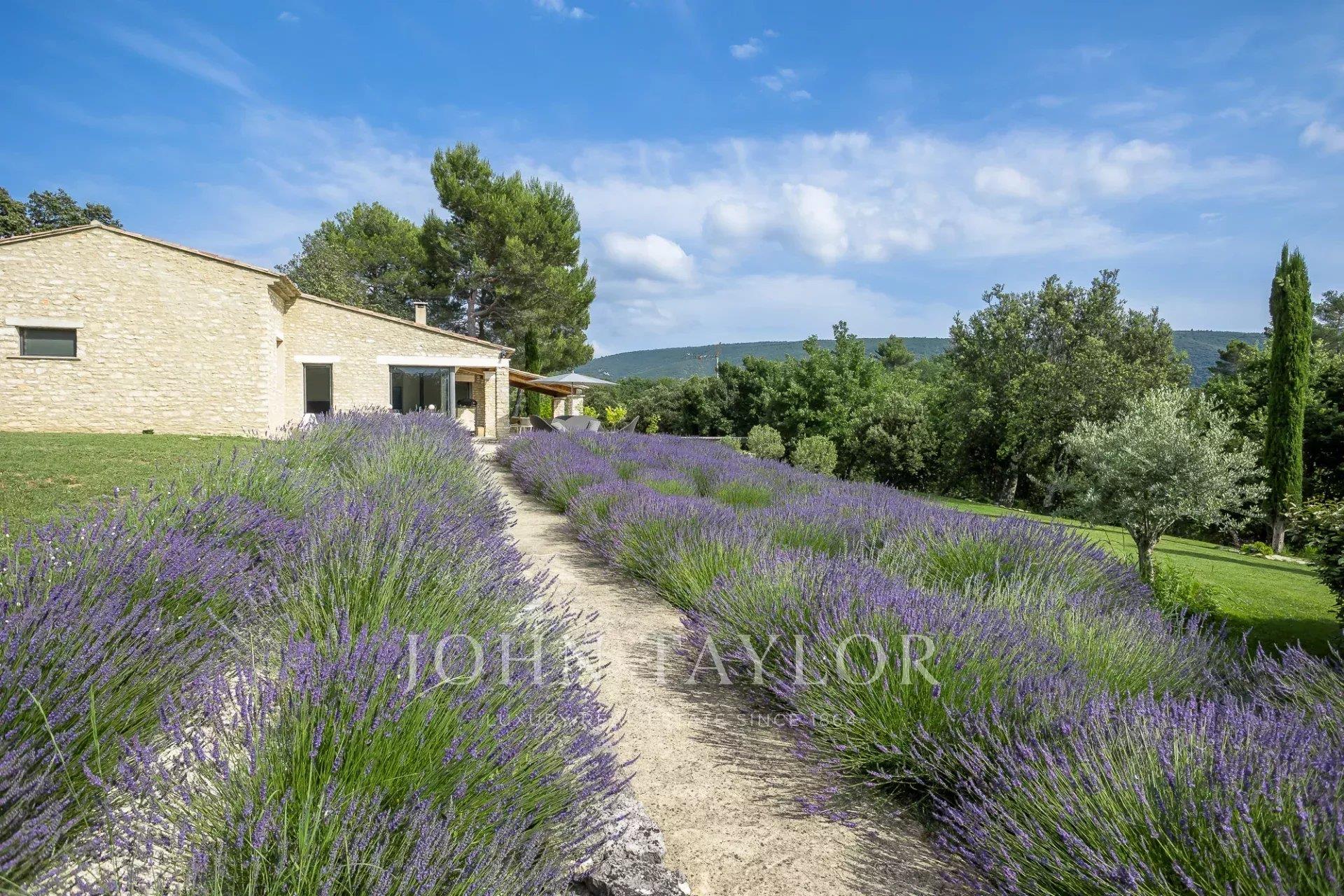 Stone house in Menerbes on 1 hectare.
