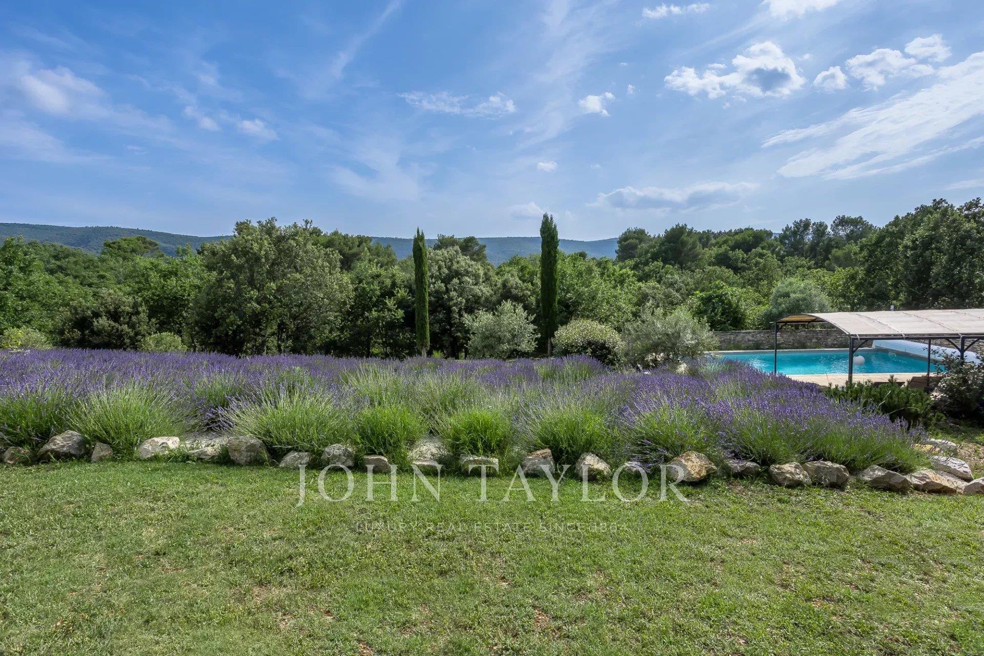 Stone house in Menerbes on 1 hectare.