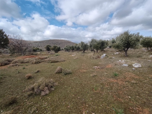 (Zum Verkauf) Grundstück außerhalb der Siedlung || Chios/Chios - 16.910 qm, 330.000€