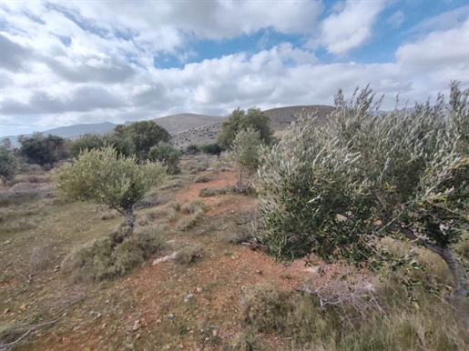 (Te koop) Perceel uit nederzetting || Chios/Chios - 16.910 m², 330.000€