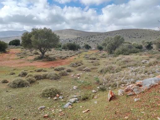 (Προς Πώληση) Αξιοποιήσιμη Γη Οικόπεδο εκτός οικισμού || Ν. Χίου/Χίος - 16.910 τ.μ, 330.000€