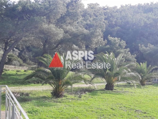- Detached house For sale, Lesvos - Kalloni, 120 sq.m., €250.000