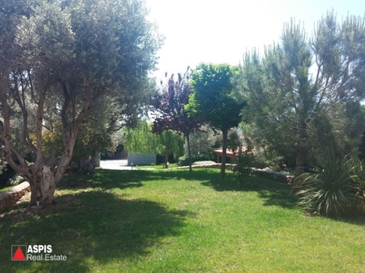 (For Sale) Residential Maisonette || Evoia/Amarynthos - 600 Sq.m, 1.500.000€