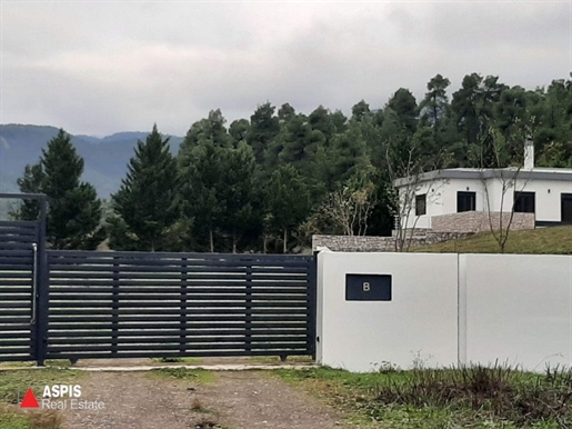 (Zum Verkauf) Wohnen Einfamilienhaus || Evoia/Kirea - 450 qm, 930.000€