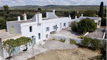Masseria for sale with large swimming pool and magnificent wooded plot of 12 ha
