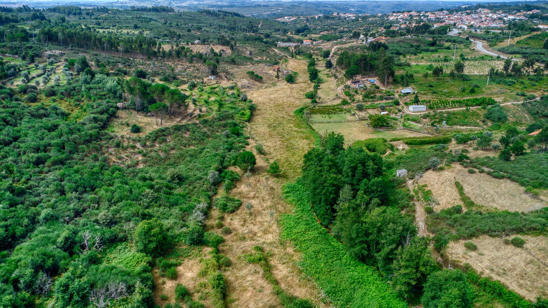 Bela quinta com 5 ha, terreno maioritariamente plano, com excelente terra arável, poço, ribeiro e ru