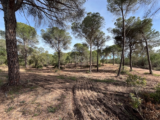 Terreno - 16000.00 m2