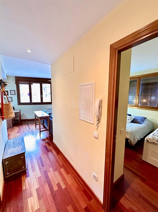 Apartamento 1 dormitorios - 53.00 m2