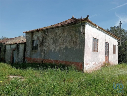 Maison de village T2 à São João da Ribeira e Ribeira de São João de 56,00 m²