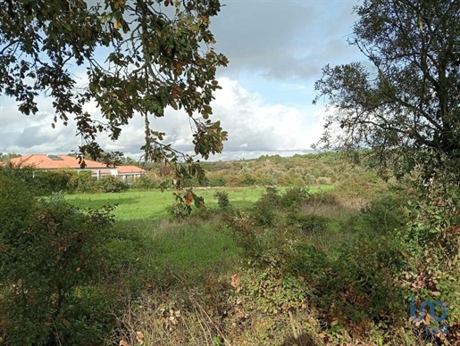 Ground in Santarém with 20000,00 m²