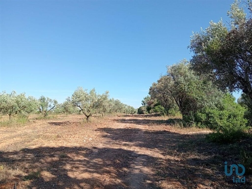 Boden in Santarém, Santarém