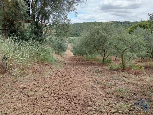 Boden in Rio Maior, Santarém