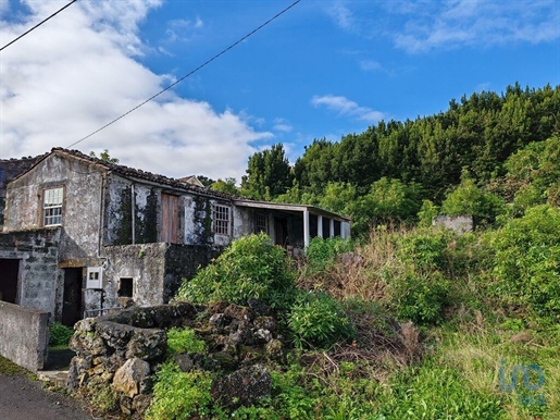 House with 1 Rooms in Piedade with 94,00 m²