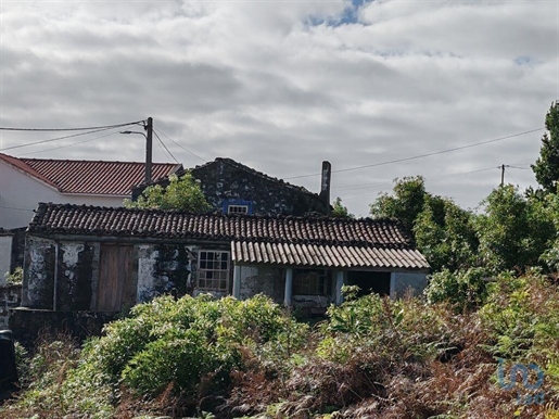House with 1 Rooms in Piedade with 94,00 m²