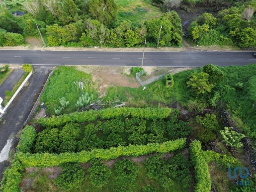 Tierra en el Açores, Lajes do Pico