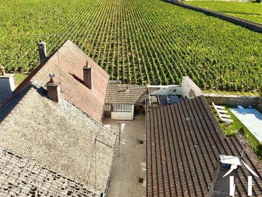 Large house with a view of the Pommard vineyard