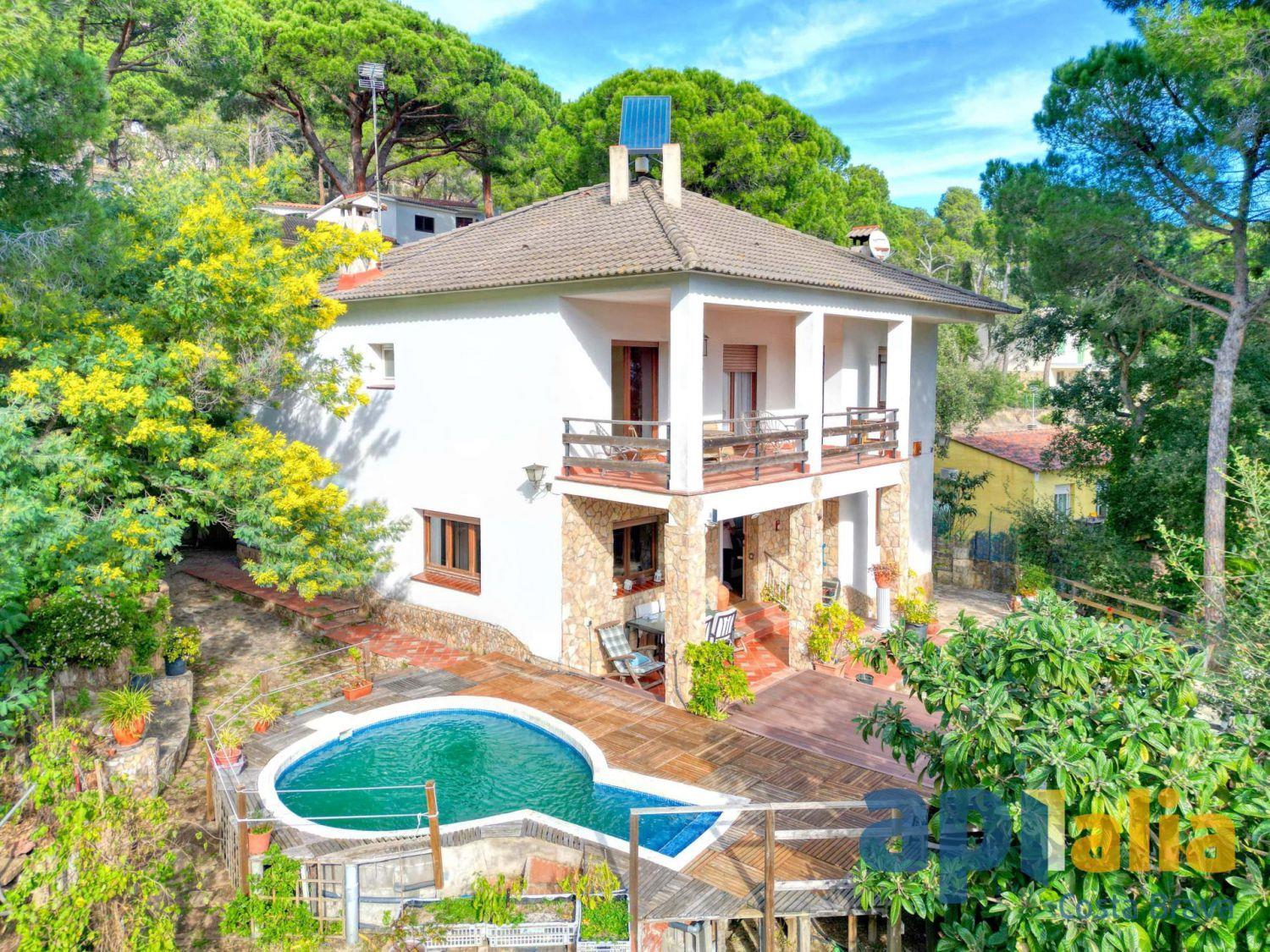 Purchase: House (17220)