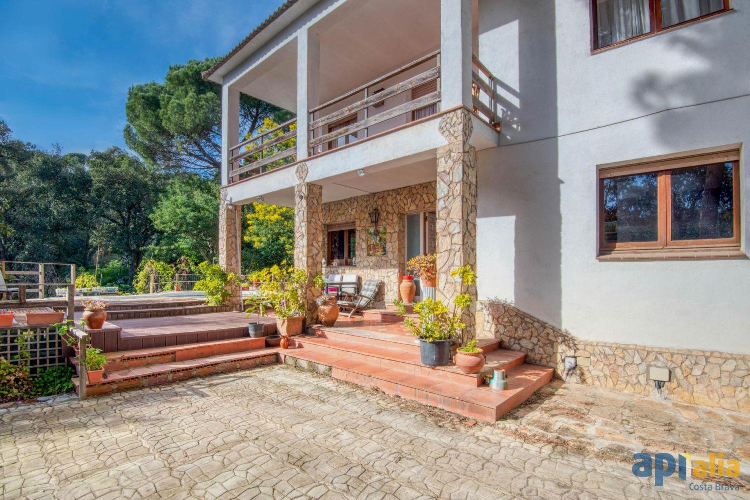 Purchase: House (17220)