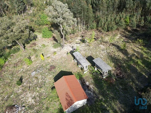 Terrain à Santa Cruz da Trapa e São Cristóvão de Lafões de 16244,00 m²