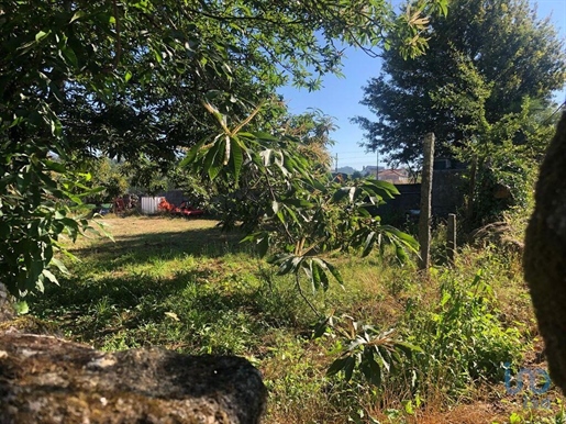 Terra a São Pedro do Sul, Viseu