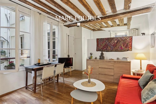 Paris Vi - Monnaie - Estudio 30 M2, 1er piso sobre patio