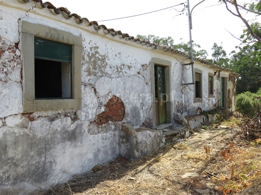 Land mit Ruinen, São Brás de Alportel