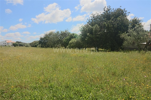 מכירה: בית (8150)