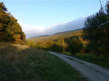 Haut-Jura, fostă fermă în afara drumului, la sfârșitul renovării