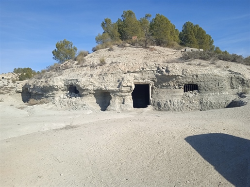 Cave House in Benamaurel, Spain for sale