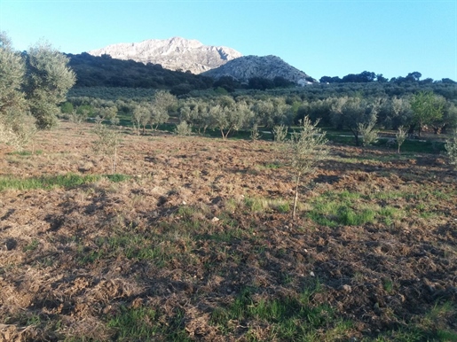 Terrains à vendre à El Burgo, Espagne