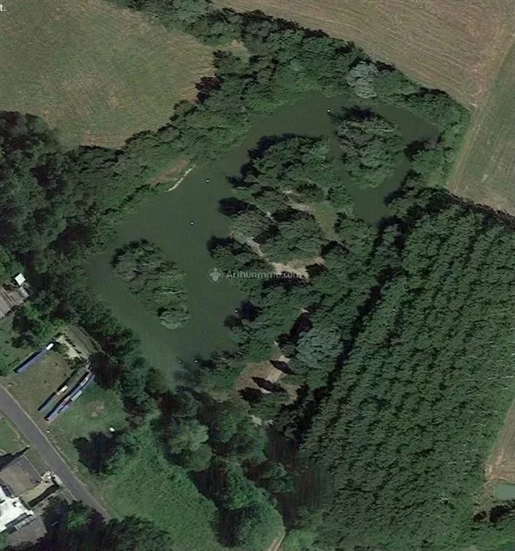 Superbe terrain avec étang de presque un hectare à 5 minutes de la Chartre sur le Loir