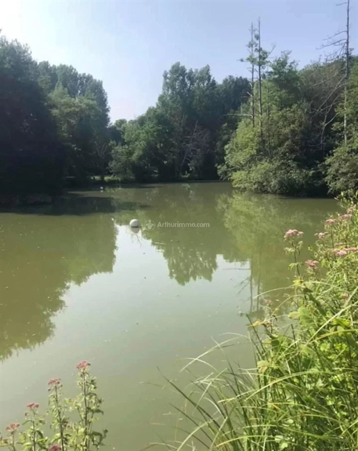 Superb plot of land with pond of almost one hectare 5 minutes from the Chartre sur le Loir