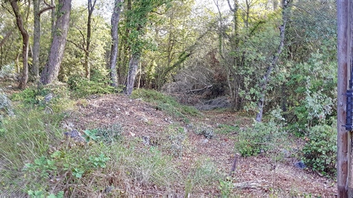 Waldanwesen Roquefort Les Pins - Nicht bebaubares Land