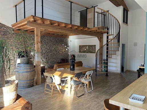 Former renovated wine cellar with loft, apartment