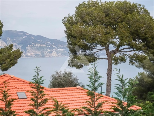 Cap Martin - Villa Contemporanea - Zona Privilegiata