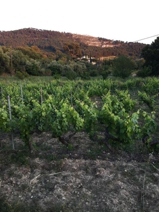 Saint-Cyr-Sur-Mer : Domaine viticole avec propriété bâtie