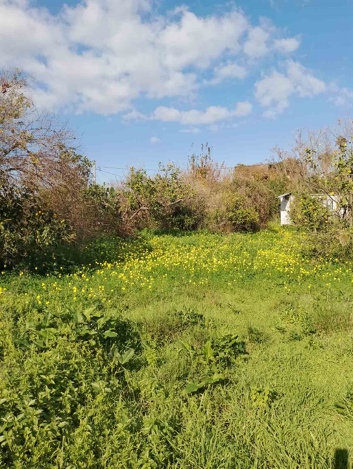 (For Sale) Land Plot || Chania/Therisos - 1.603 Sq.m, 145.000€