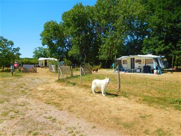 Dog campsite with house and barns on 3 ha 77.