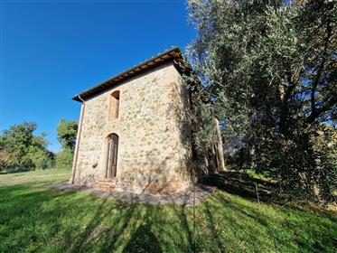 Property to renovate in the heart of Chianti