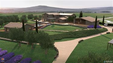 Agriturismo in the heart of the Val d'Orcia