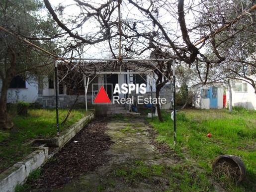 (For Sale) Residential Detached house || Chalkidiki/Kassandra - 78 Sq.m, 160.000€