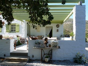 Kea . La Maison Vert Amande ( Cyclades)