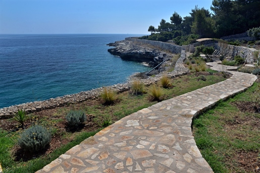 Seafront Oasis Villa with direct access to the sea, Paxoi