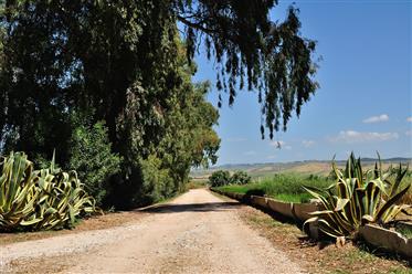 Masseria with Laboratory for the preservation of organic vegetables