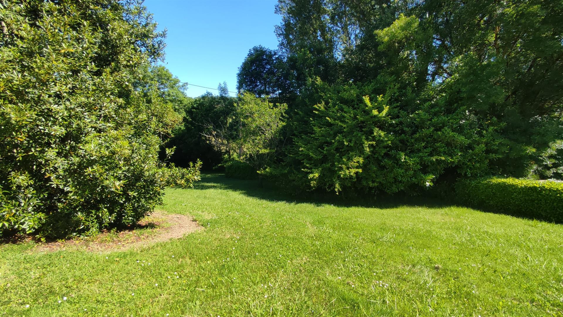 Set of 2 houses including a renovated barn and an old house, swimming pool, 2 hectares of land