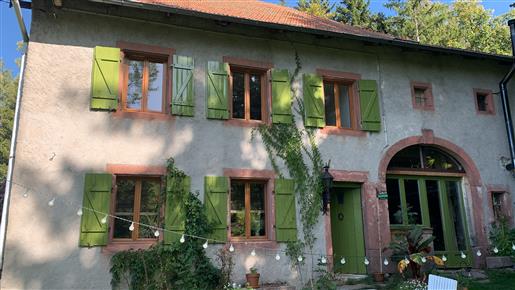 Beautifully located B&B in the high Vosges