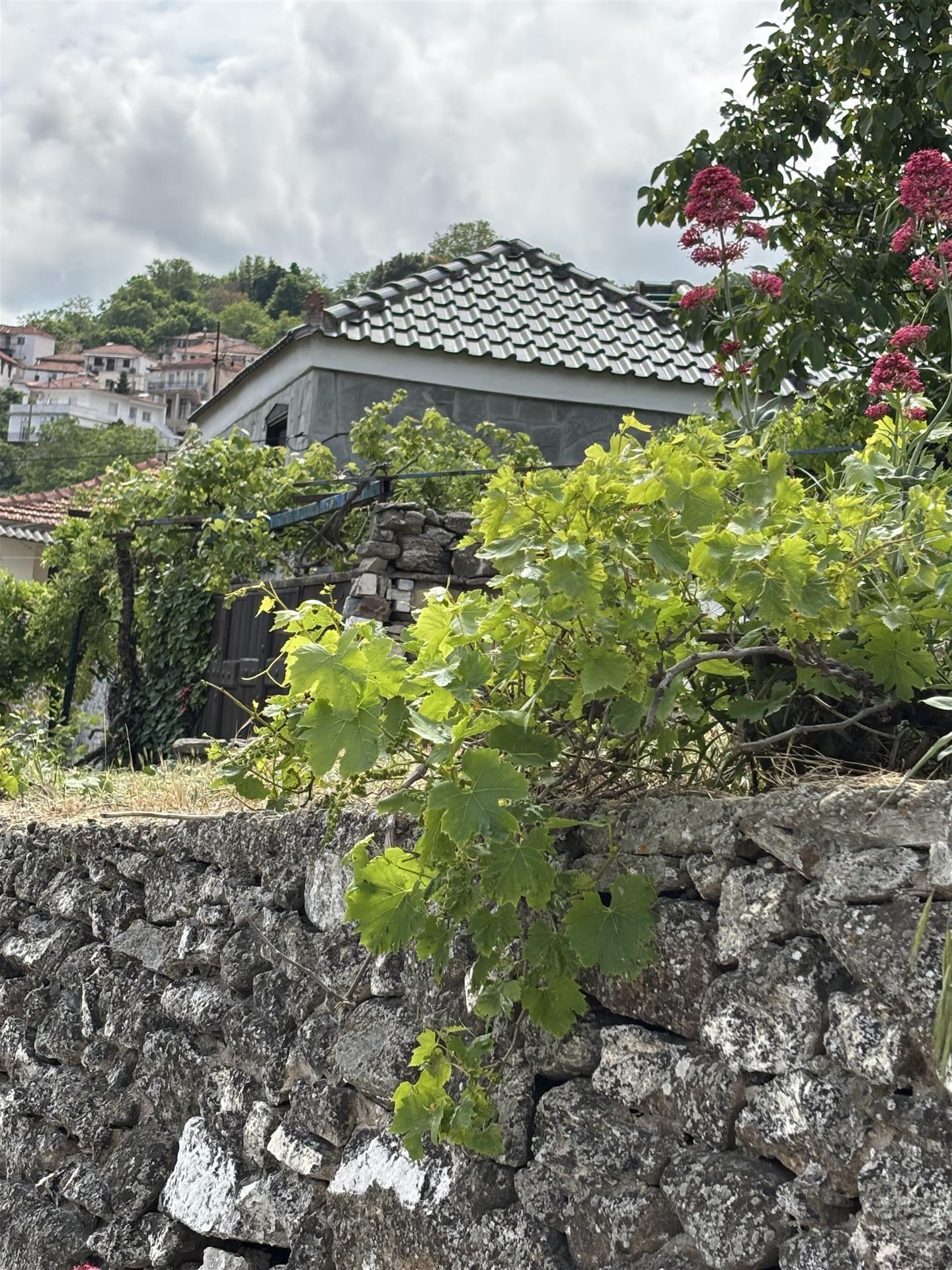 Traditional stone cottage on Thassos Island
